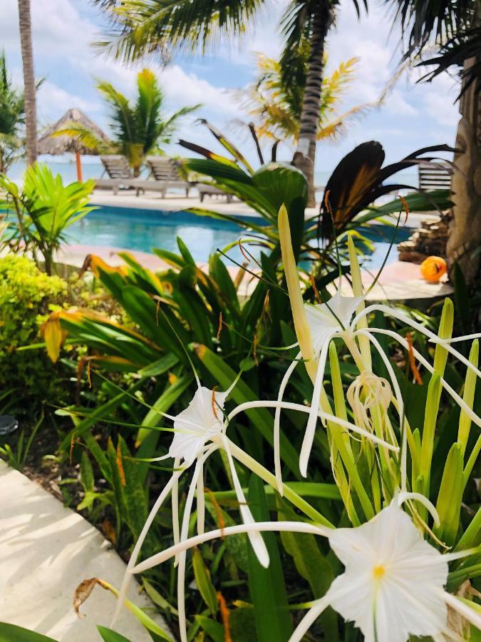 Coral Cove Inn Maya Beach Ngoại thất bức ảnh
